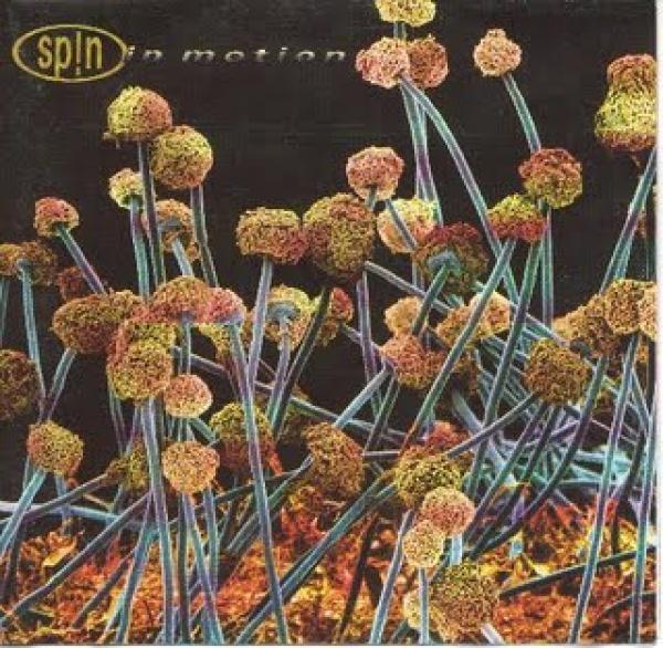 Sp!n - In Motion