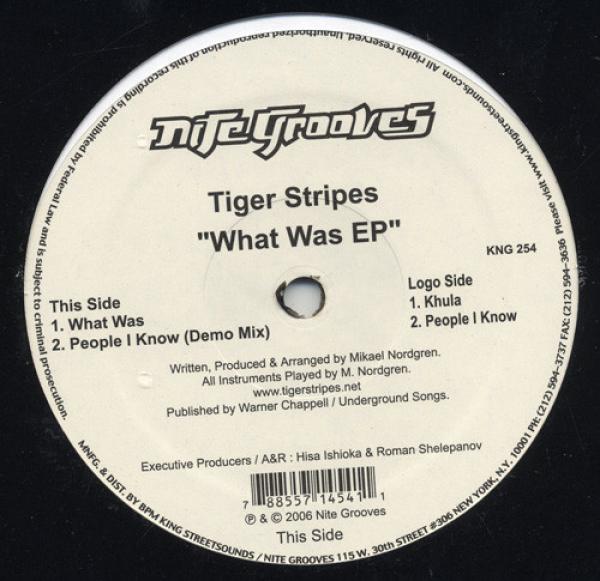 Tiger Stripes - What Was EP